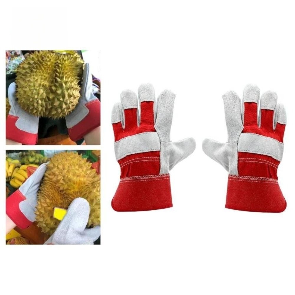 Cut Resistant Glove - Sarung Tangan Berkebun Kulit Sapi Tahan