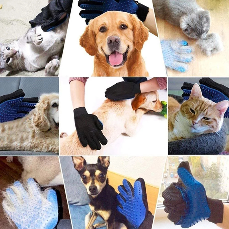 Sarung Tangan Perawatan Hewan  - Rubber Glove Cleaning ulasan dan harga