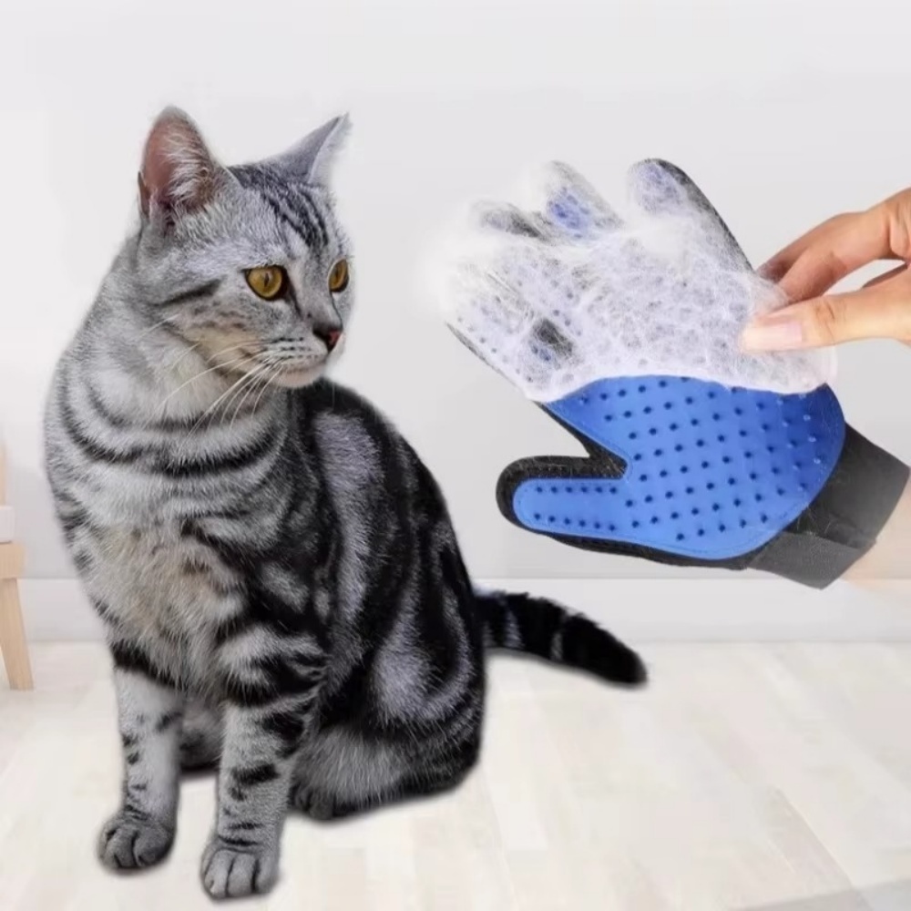 Sarung Tangan Perawatan Hewan  - Rubber Glove Cleaning ulasan dan harga