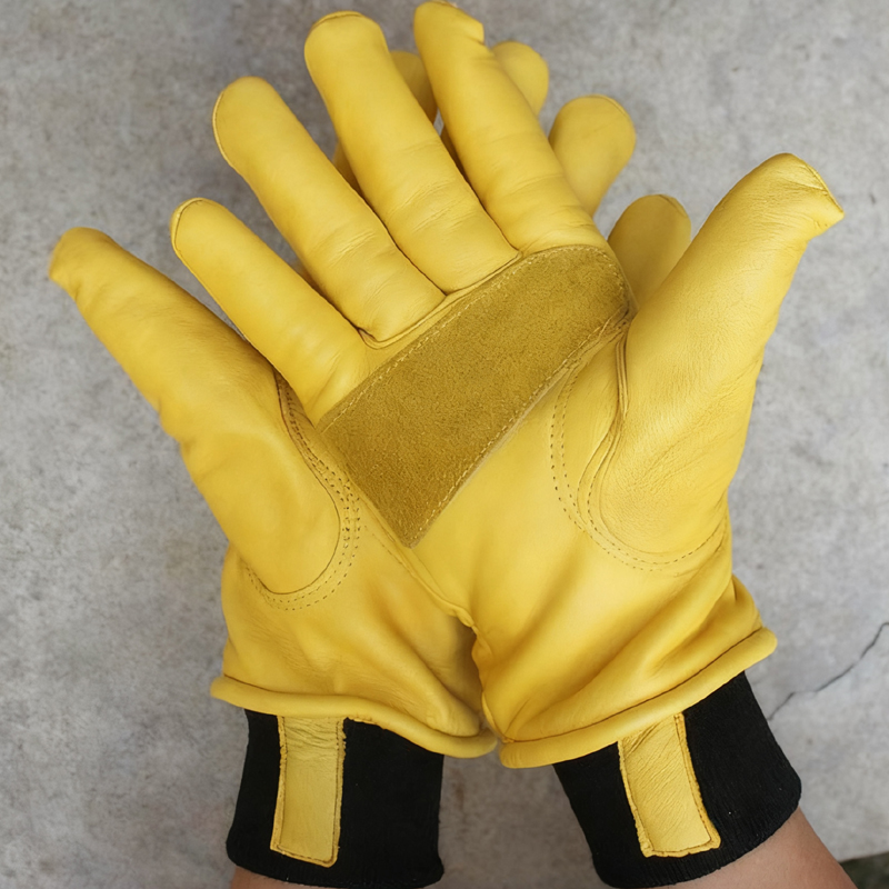 Sarung Tangan Musim Dingin Pri - Winter Glove Insulated ulasan dan harga
